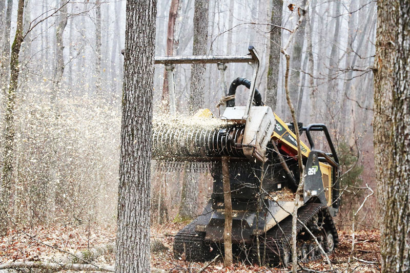 STE Rural Development Services provides Forest Mulching services