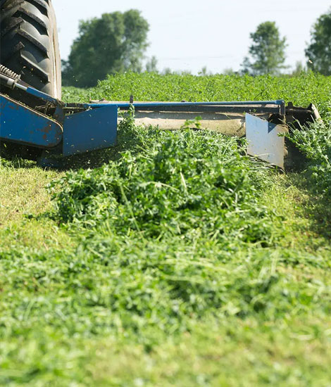 STE Rural Development Services Bush Hog Services