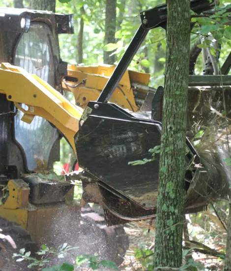 STE Rural Development Services Forest Mulching